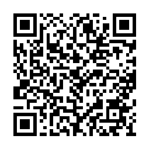 我还是抬头擦眼泪的时候才发现苏念白在我旁边二维码生成