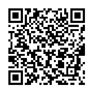 我还是第一次看到穿着最高级别防弹衣的所谓维和部队二维码生成