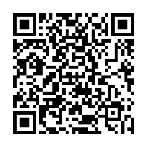 我还是第一次看到除了我们天河族和冥河族之外的种族二维码生成
