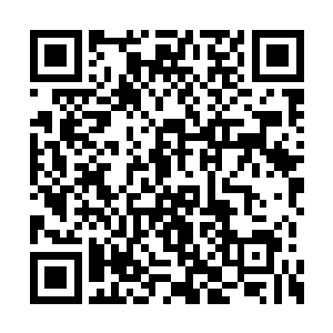 我还有一事不明……刚才你说你有二州境的实力二维码生成