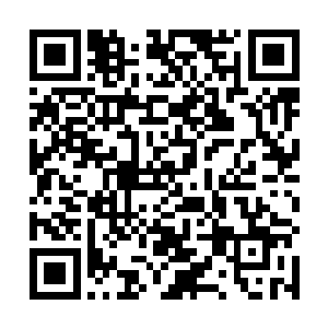 我还没听说过费南存在能毒死一头太古龙的毒物呢……二维码生成