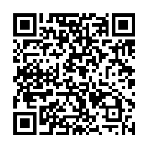 我还没把你解决星界几十万大军的神来之笔跟她说呢二维码生成