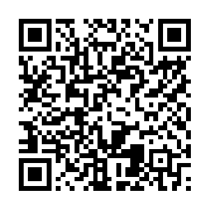 我还没有好好的看过这边的风景好好的玩耍一下呢二维码生成