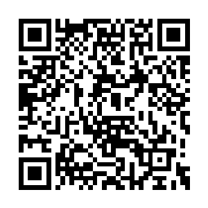 我还没见到过象你们这种不讲理不要脸的一家人二维码生成