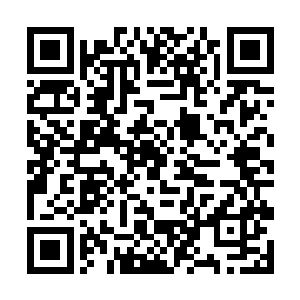 我还没见过什么人在这么多方面都有这么惊人的才华二维码生成