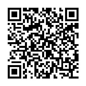 我还真不相信在魔界还有我龙傲天没有办法去的地方二维码生成