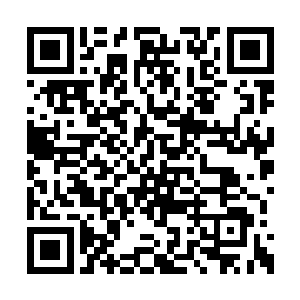 我还真有些年头没见过有人这么用心地递剧本了二维码生成