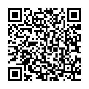 我还真的担心是不是一直暗中跟踪我的哪一股势力要对我们下手二维码生成