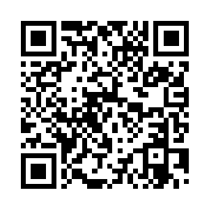 我还紧急的将黑客帝国的档期提前了二维码生成