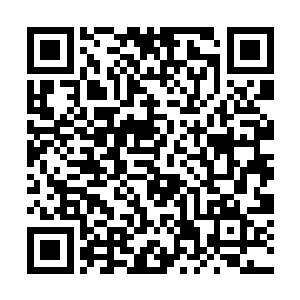 我还能照直说说……说被寒阳大陆的一个蝼蚁给揍了二维码生成