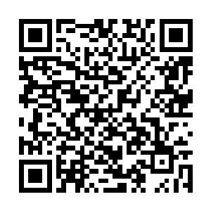 我还要赶快借助这里的熔浆池突破到天阶二星后期二维码生成