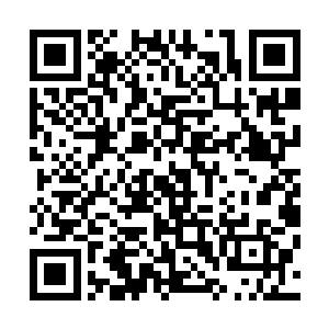 我还需要一些时间……这里有着关于我血脉晋升神脉的线索二维码生成