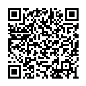 我这一族的祖先就不再执着于和人族文明的斗争二维码生成