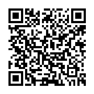 我这一趟只是要与同伴借助下黑鸦城的空间法阵二维码生成