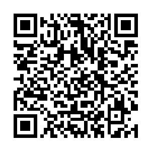 我这不听说金团长你带来了许多年前的开衫祖师爷嘛二维码生成