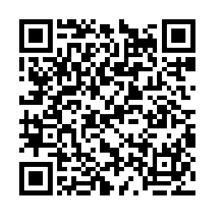 我这不是努力假装没有看到正在墙角瞪我的学姐吗二维码生成