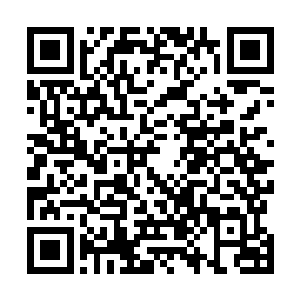 我这不是看大家都太理所当然的以为你创作不需要时间吗二维码生成