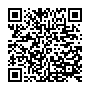 我这个人是很纯洁的……我只是仰慕您大冬天赤身疗伤的精神二维码生成