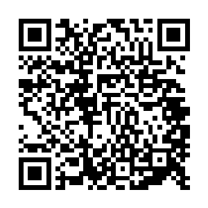 我这个单纯走武力路线的妹妹能成长到今天这样可怕的程度二维码生成