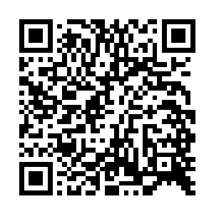 我这个山沟沟里出来的泥腿子只会给你带来负面的影响二维码生成