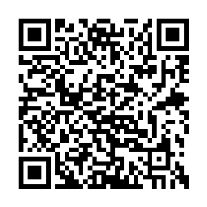 我这个师兄想要了解一下他的实力也是人之常情二维码生成
