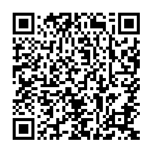 我这么好的出身这么好的才华这么好的……我难道不该自恋一下吗二维码生成