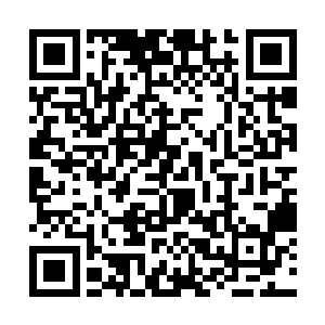 我这会儿才意识到或许是这个女孩子将我带到医院的二维码生成