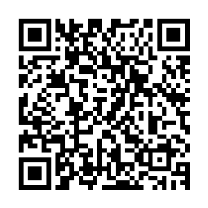 我这可是都省吃俭用的将灵石省下来给了我的两个侄子和侄女啊二维码生成