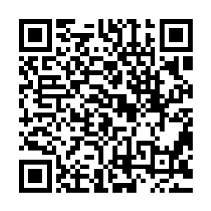 我这才想起来不久前我穿越到二十年前的时候是指导过一个司机二维码生成
