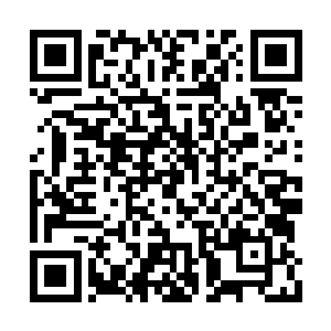 我这是给机会你看清楚你的情敌到底有多少斤两二维码生成