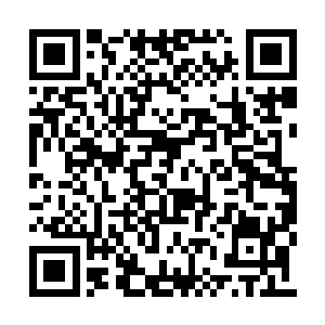 我这次来就是想着将掌控傀儡的方法传授给你们二维码生成