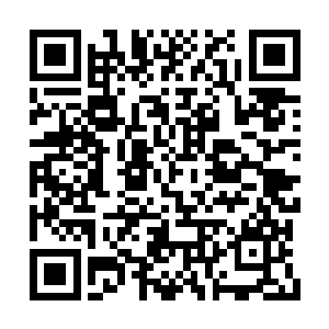 我这次来就是想知道你到底要怎么处置滇西草原二维码生成