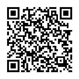 我这次来这里就是为了观察究竟是谁完成s级任务的二维码生成