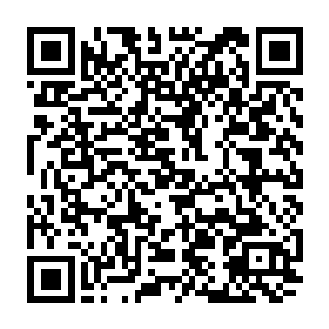 我这段时间在灰色山丘的几处地方已经发现了几个大规模的铁牙鬣狗聚集群落二维码生成