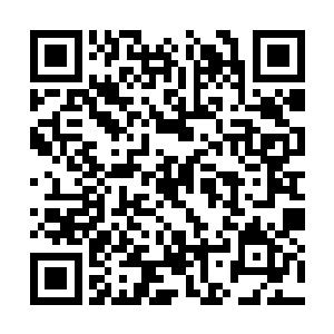 我这辈子或许早就在那山河图之中一点点的湮灭了二维码生成