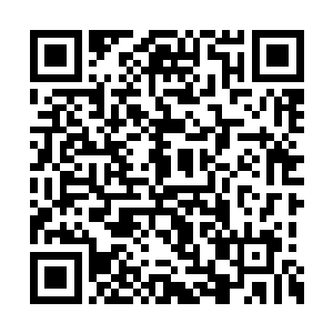 我这边还需要给她们准备一些圣诞和元旦的礼物二维码生成