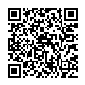 我这边那南非白巫祭司古赫尔可还呆在落神灰等着还魂呢二维码生成