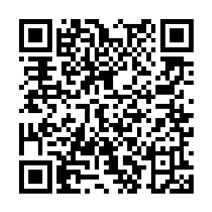 我这还是怀着一片欣赏在欣赏这些翼蛇姑娘的表演二维码生成