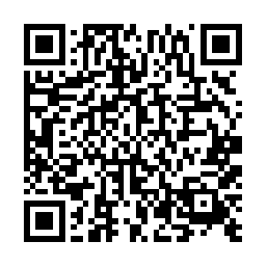 我这里可是有二十四位土德道友对你欲图谋杀友军的证词二维码生成