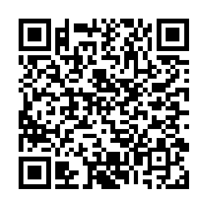 我这里将我们店铺能够出售的飞行法器全都带过来了二维码生成