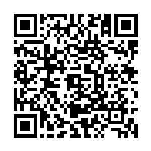 我进山采摘几株草药打算给我儿媳妇熬药来镇胎气二维码生成