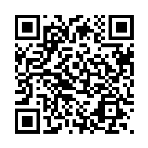 我远远地看到空虚公子身上满是血液二维码生成