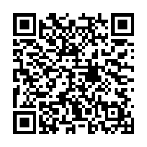 我送你一间别墅又不是因为我想要图你们什么回报二维码生成