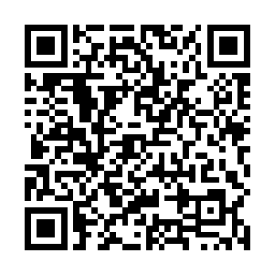 我通过不断的追查才知道天风神帝当年洞府中有凝魂果二维码生成