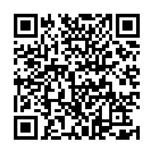 我那一次的决定不是为了能让自己享受绝顶的荣华富贵二维码生成