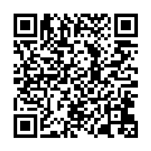 我那几个月未见的无良师叔正大方的朝四周的众人撒着糖二维码生成