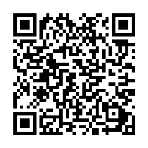 我那原本血肉模糊的手臂已经开始结上了一层黑壳二维码生成
