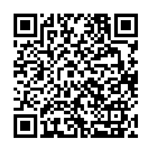 我那只是权宜之计……严默对蠢主人的没默契感到无语二维码生成