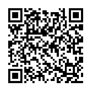 我都不敢保证自己能在切割下这么多内脏的情况下二维码生成