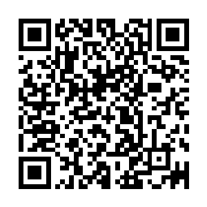 我都不知道为什么西方血族为什么将万尸之祖将辰给排了出去二维码生成
